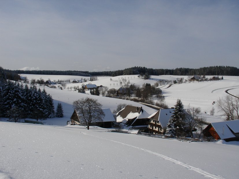 07-brigach