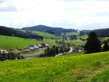 03-langenschitach.JPG