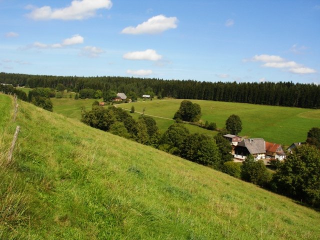 001-hippengehr