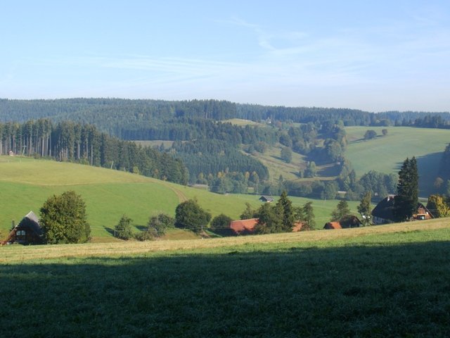 002-herrenwald-blick-hilsbach