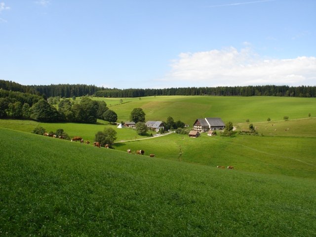 004b-uhlbach