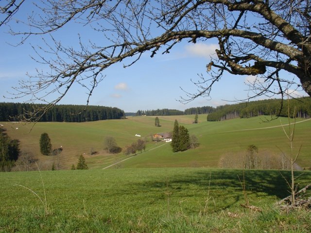 010-b-gr-maierstal