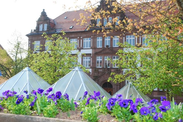 Robert-Gerwig-Schule_1